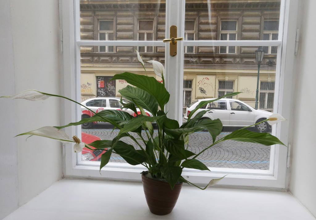 Greg Kampa Apartment Prague